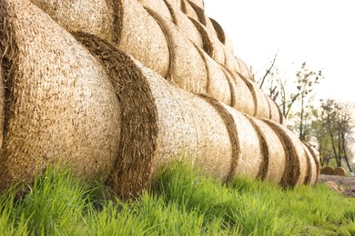 Photo of Many hay bales on green grass outdoors