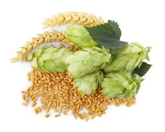 Photo of Fresh green hops, wheat spikes and grains on white background, top view