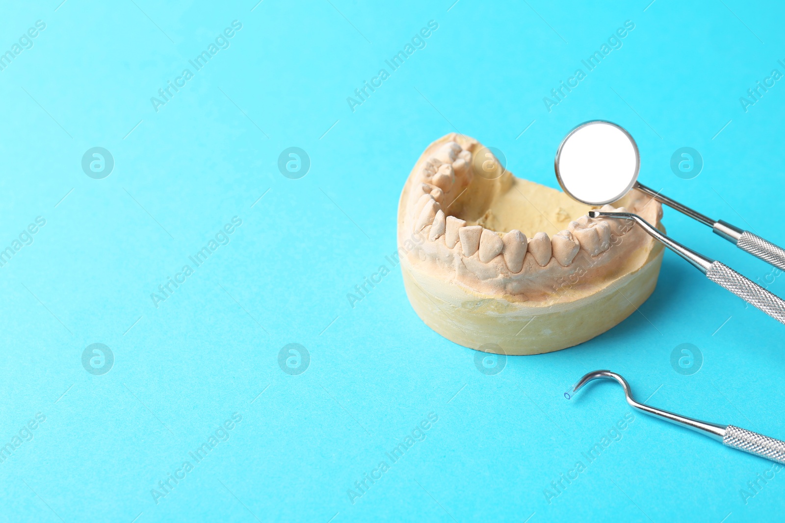 Photo of Dental model with gums and dentist tools on light blue background, space for text. Cast of teeth