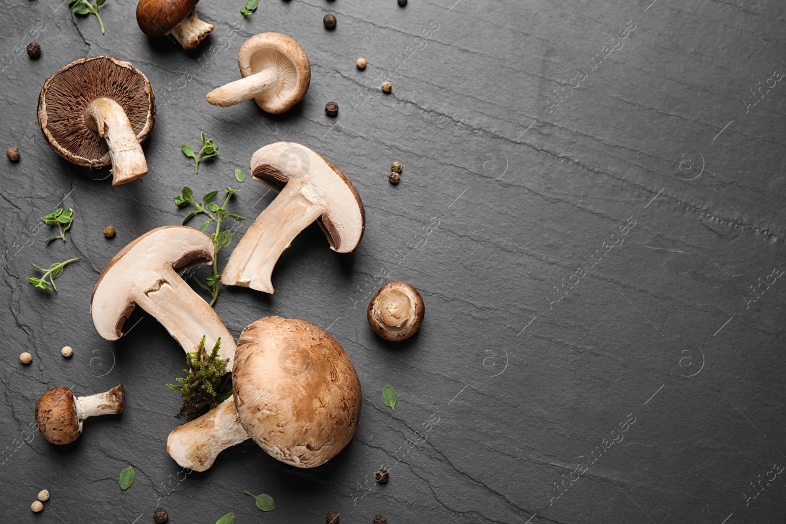 Photo of Flat lay composition with fresh wild mushrooms on black table, space for text