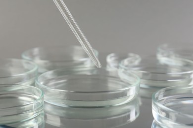 Photo of Pipette over petri dish on mirror surface, closeup