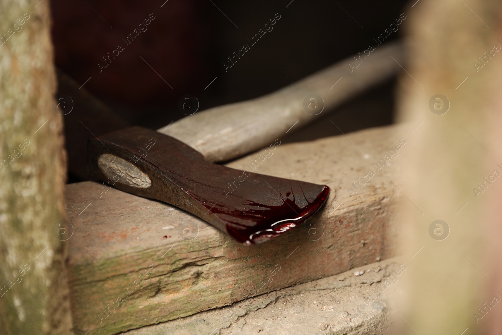 Photo of Axe with blood on wooden threshold, closeup