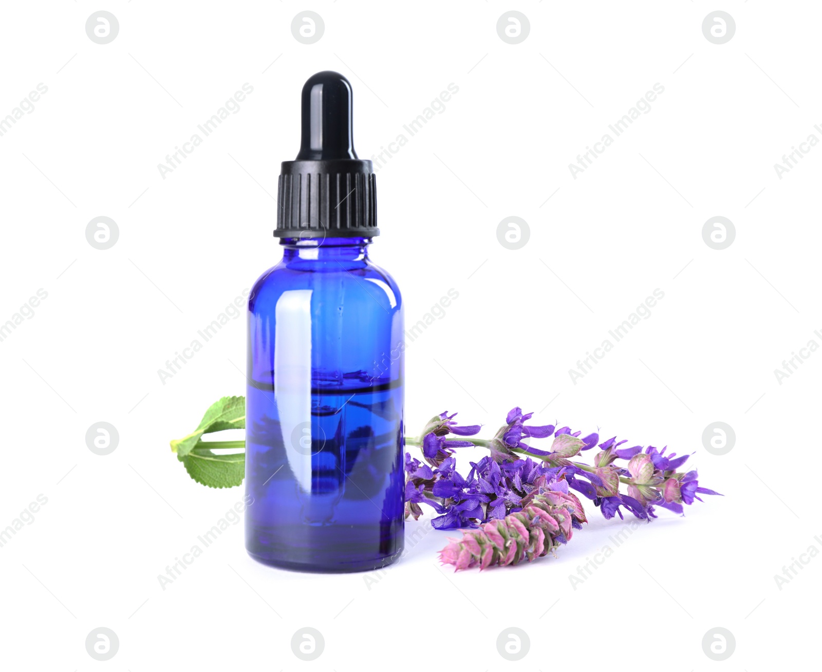 Photo of Bottle of sage essential oil and flowers isolated on white