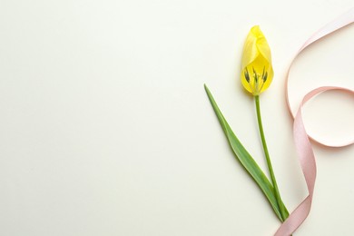 Photo of Yellow tulip and pink ribbon on beige background, top view with space for text. Menopause concept