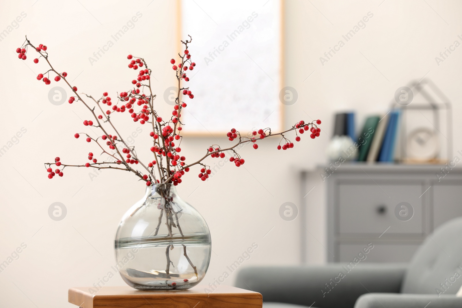 Photo of Hawthorn branches with red berries on wooden table in living room