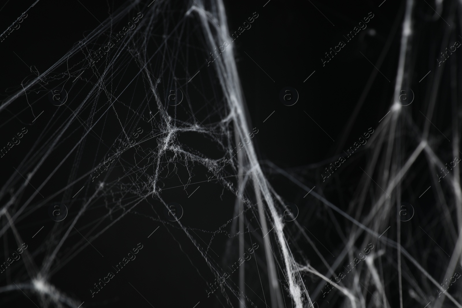 Photo of Creepy white cobweb on black background, closeup