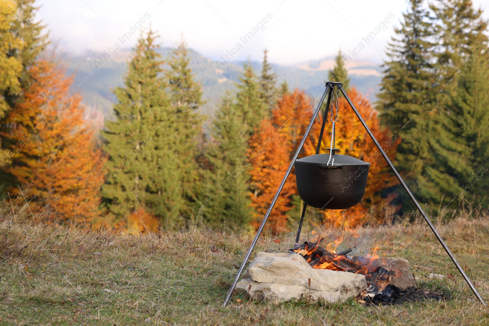 Photo of Cooking food on campfire near forest. Camping season