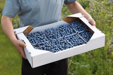 Photo of Man holding box with containers of fresh blueberries outdoors, closeup. Seasonal berries