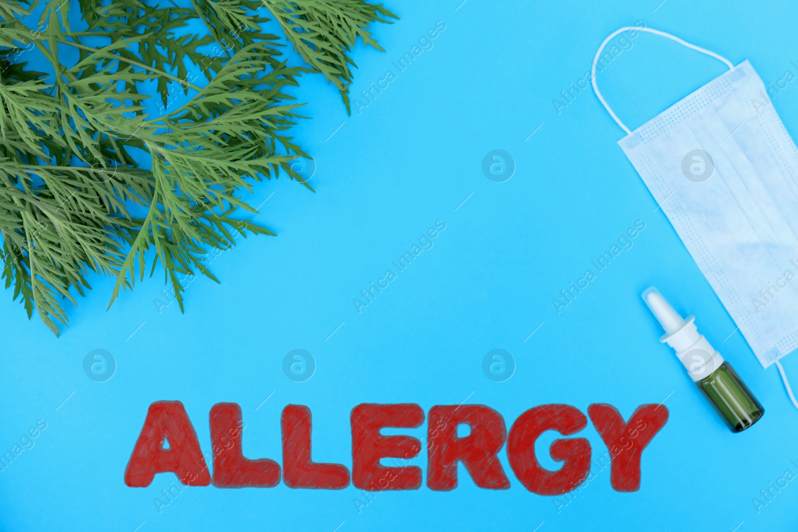 Photo of Ragweed (Ambrosia), word ALLERGY and medication on blue background, flat lay. Space for text