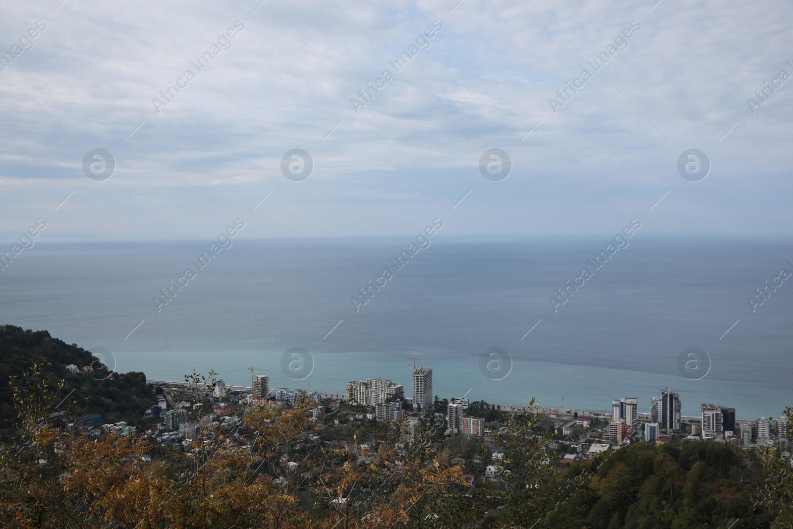 Photo of Picturesque view of city, green trees and sea under blue sky