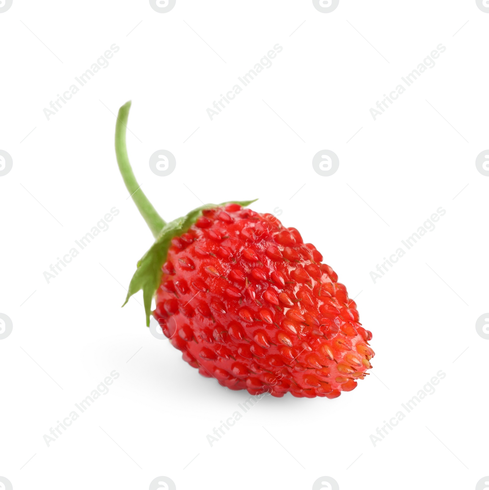 Photo of One ripe wild strawberry isolated on white