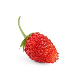 One ripe wild strawberry isolated on white