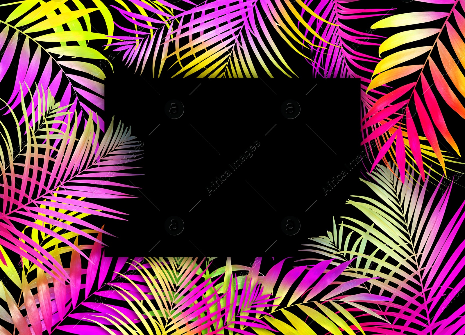 Image of Bright tropical leaves in neon colors and blank black card. Space for text