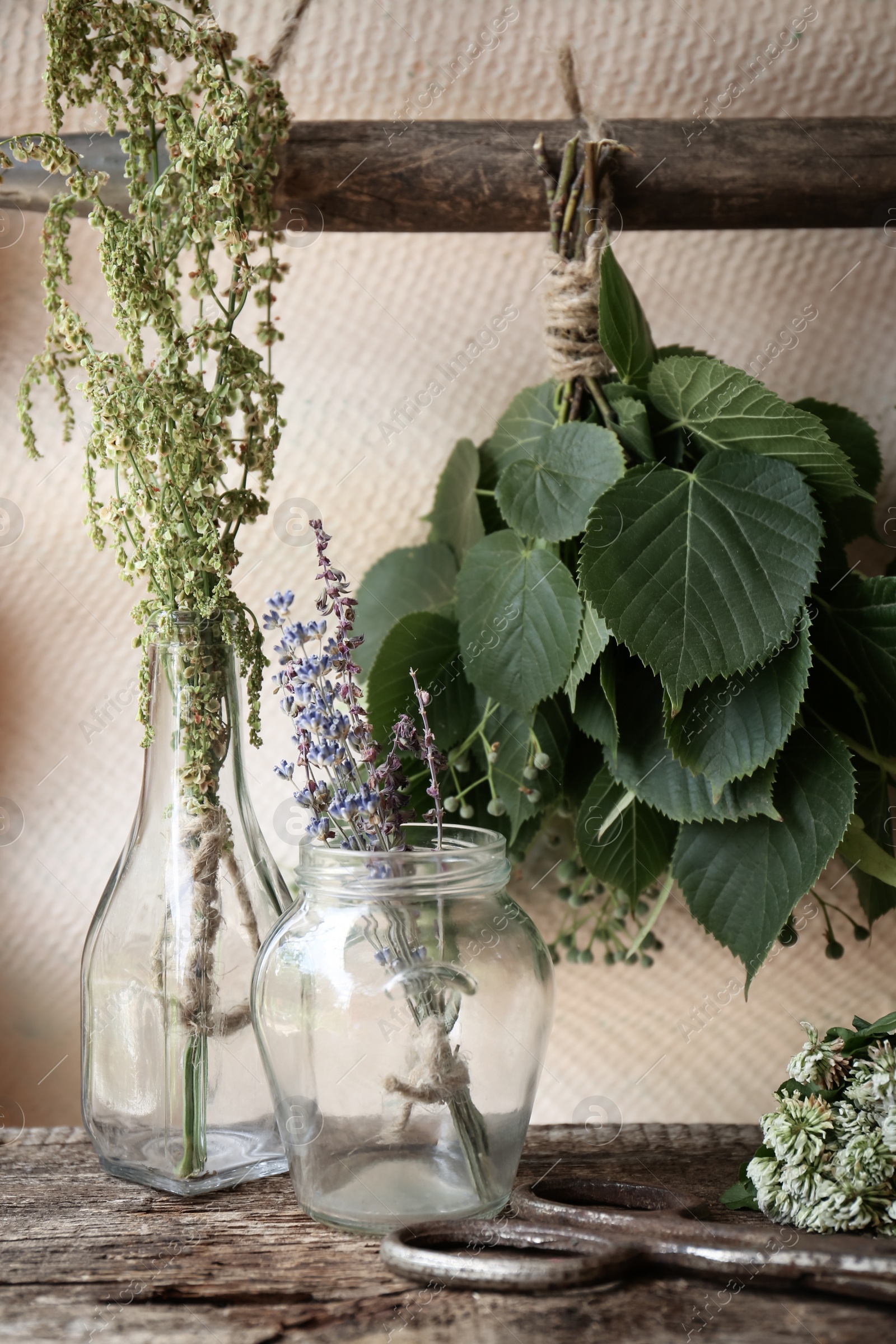 Photo of Bunches of different beautiful dried flowers and herbs indoors