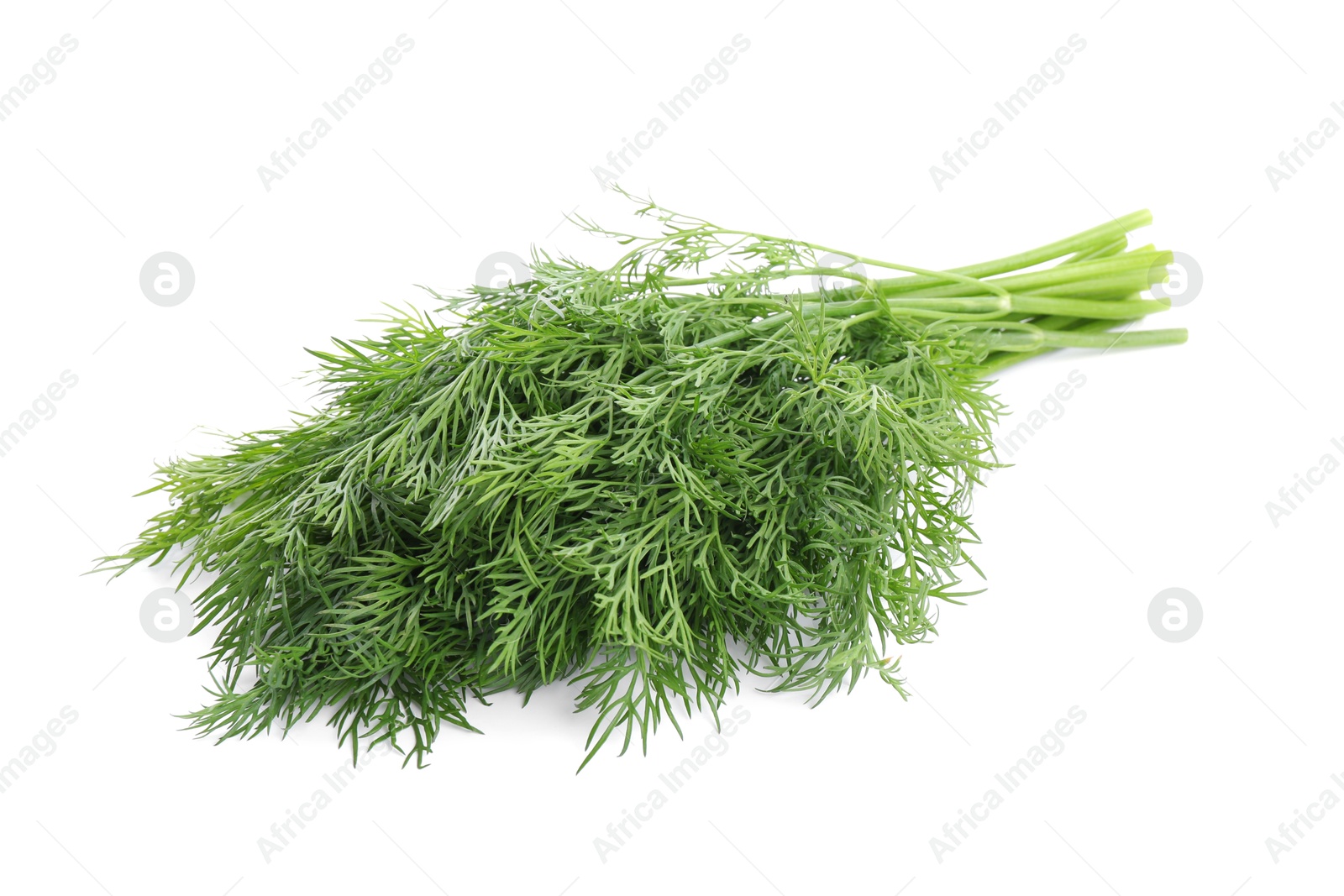 Photo of Fresh green dill branches isolated on white