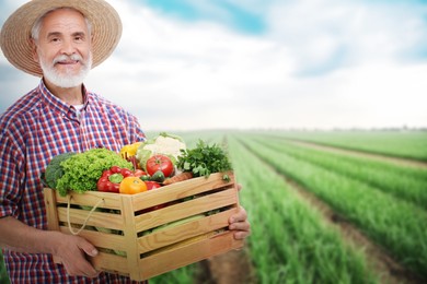 Image of Harvesting season. Farmer holding wooden crate with crop in field