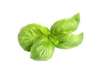 Photo of Fresh green basil leaves isolated on white