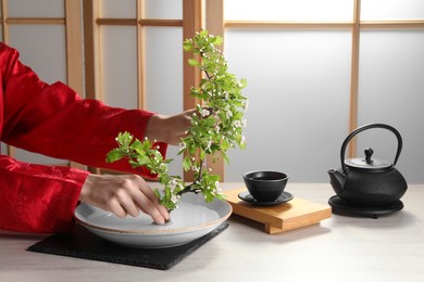 Photo of Stylish ikebana as house decor. Woman creating floral composition with fresh branch at white table, closeup