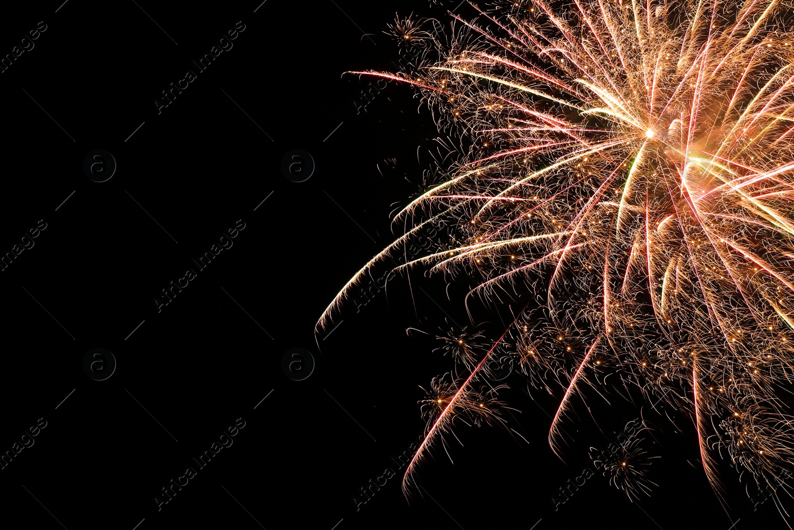 Photo of Beautiful bright firework lighting up night sky, space for text