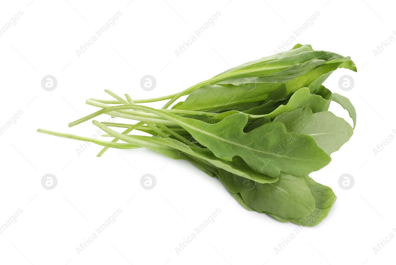 Photo of Fresh green arugula leaves on white background