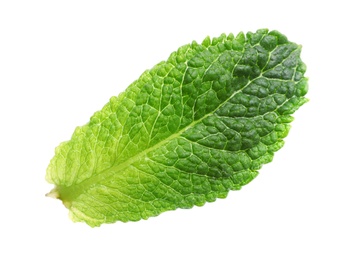 Photo of Green leaf of fresh aromatic mint isolated on white