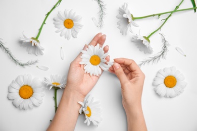 Woman with beautiful chamomile flowers on white background, top view