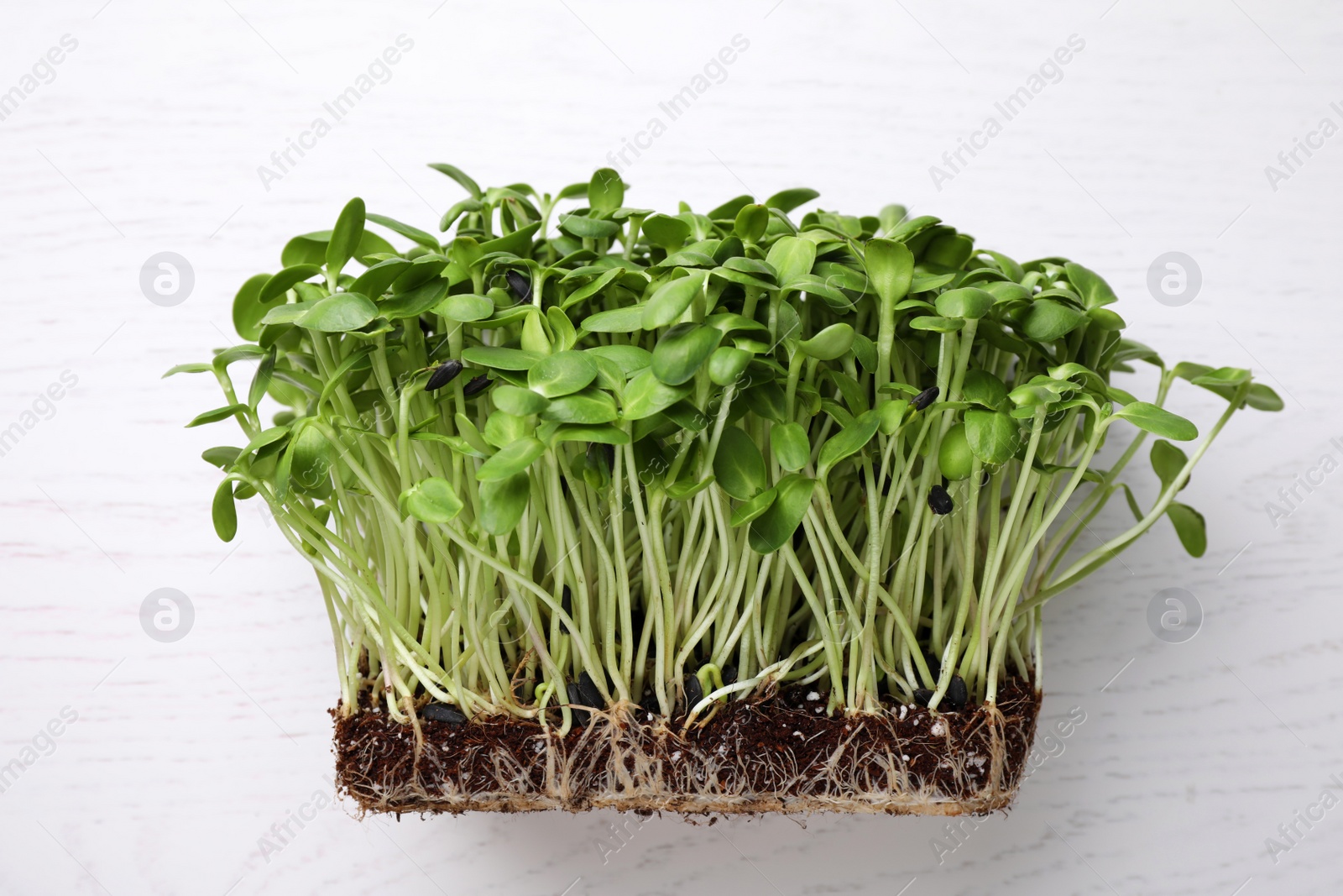 Photo of Fresh organic microgreen on white table, top view