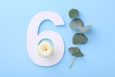 Paper number 6, beautiful flower and eucalyptus branch on light blue background, top view
