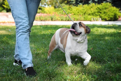 Photo of Woman walking her funny English bulldog in park, closeup