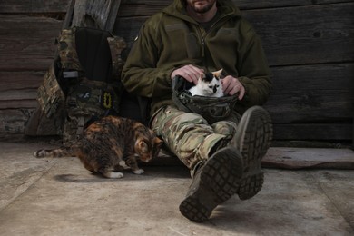 Photo of Ukrainian soldier with stray cats indoors, closeup