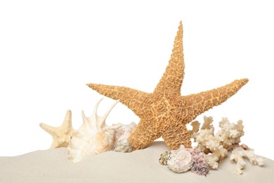 Photo of Beautiful starfishes, coral and sea shells in sand on white background