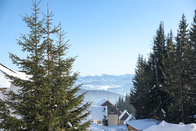 Photo of Winter landscape with beautiful fir trees in mountain village