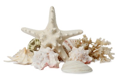 Photo of Beautiful starfish, coral and sea shells on white background