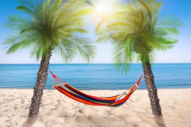 Image of Hammock between palms at sandy beach near sea on sunny day