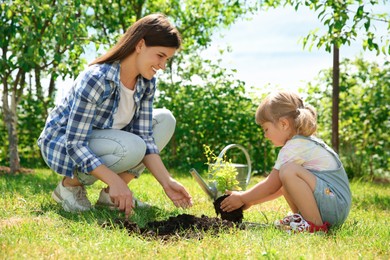 Photo of Mother and her daughter planting tree together in garden