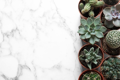 Photo of Flat lay composition with different succulent plants in pots on marble table, space for text. Home decor