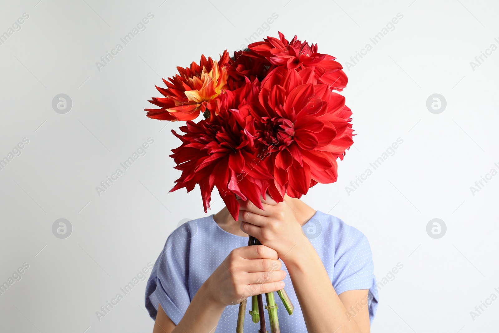 Woman holding bouquet of beautiful dahlia flowers against light background Photo of Woman holding bouquet of beautiful dahlia flowers against light background