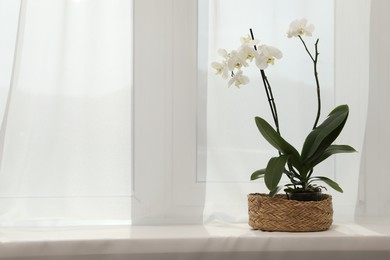 Photo of Blooming white orchid flower in pot on windowsill, space for text