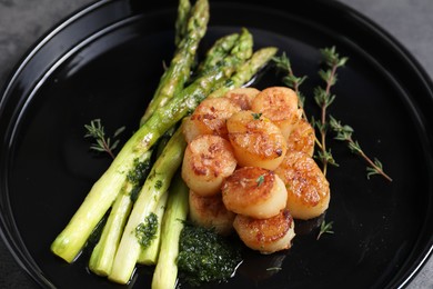 Photo of Delicious fried scallops with asparagus and thyme on grey table, closeup