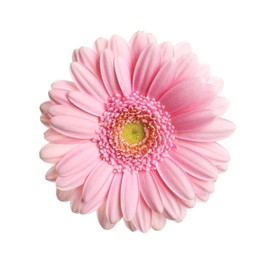 Photo of Beautiful pink gerbera flower isolated on white