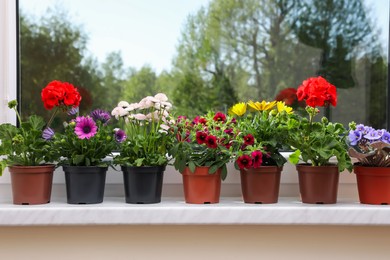 Photo of Different beautiful potted flowers on windowsill indoors