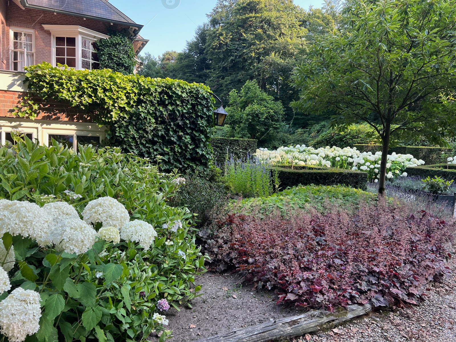 Photo of Beautiful green trees, flowers and shrubs in garden on sunny day