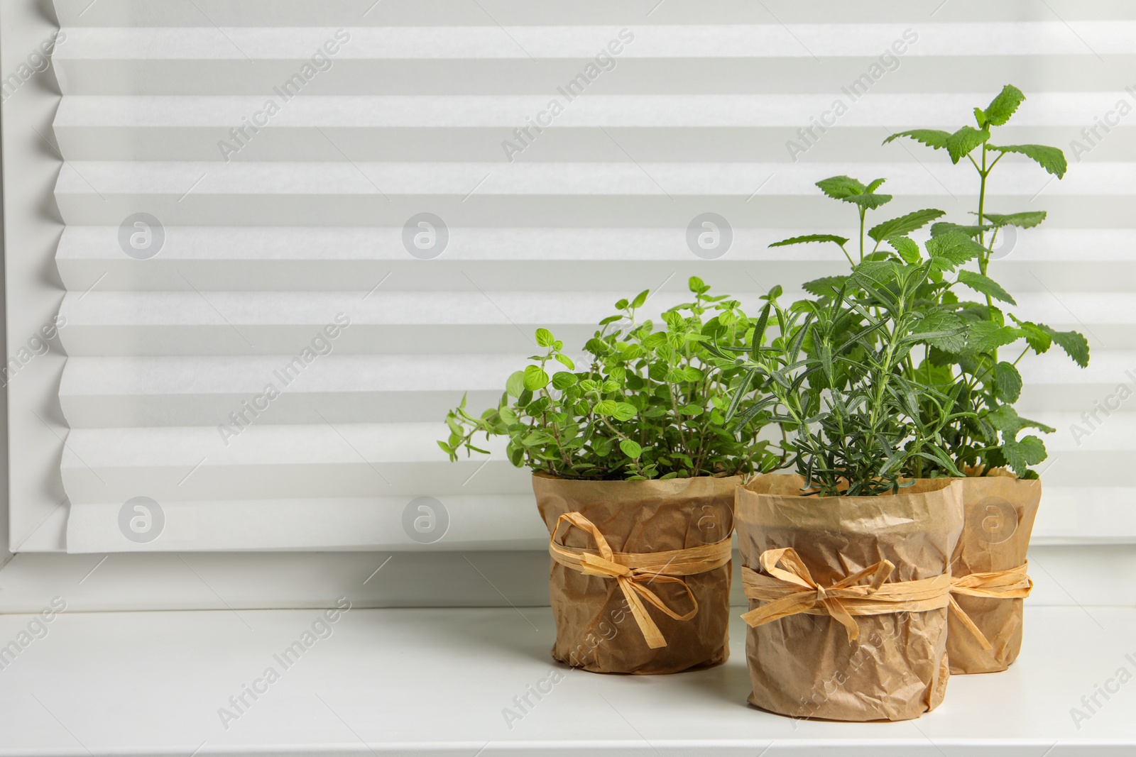 Photo of Different aromatic potted herbs on windowsill indoors. Space for text