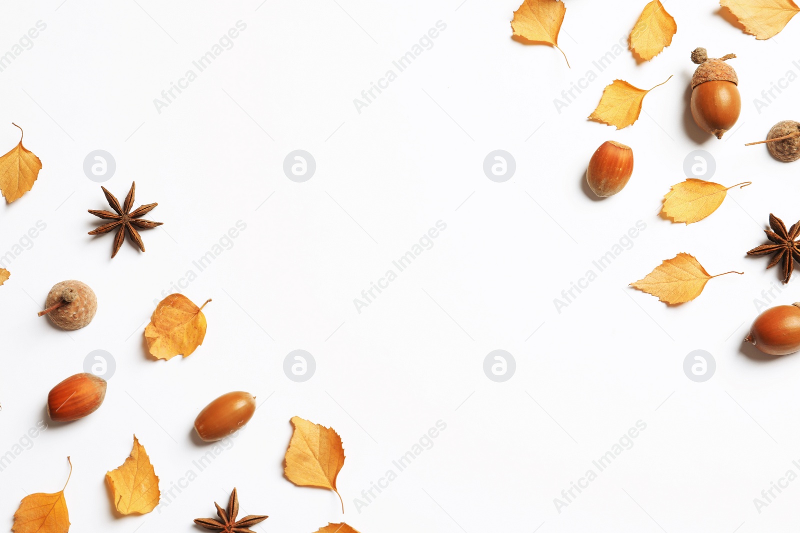 Photo of Flat lay composition with autumn leaves and space for text on white background