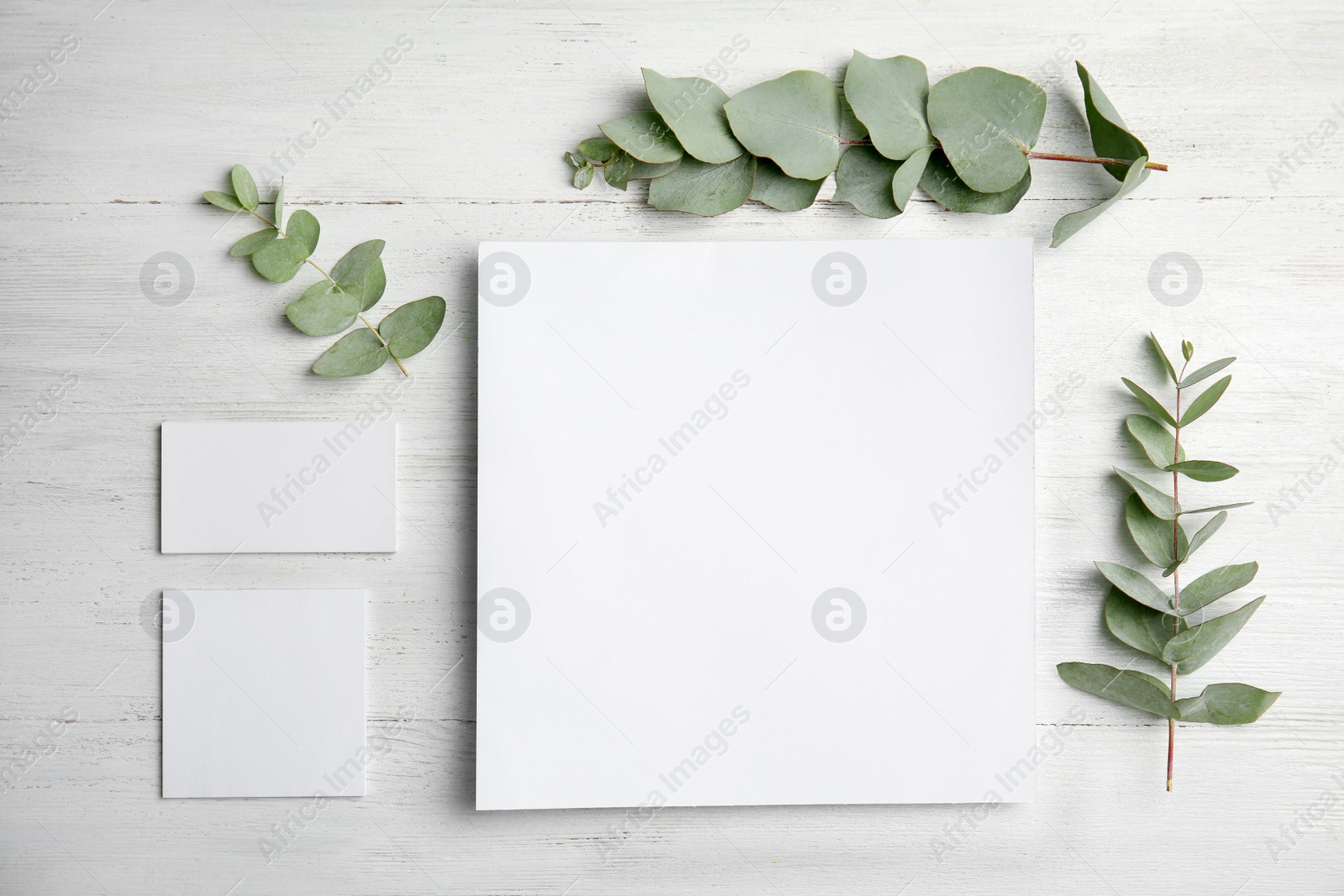 Photo of Fresh eucalyptus leaves and blank cards with space for design on wooden background, top view