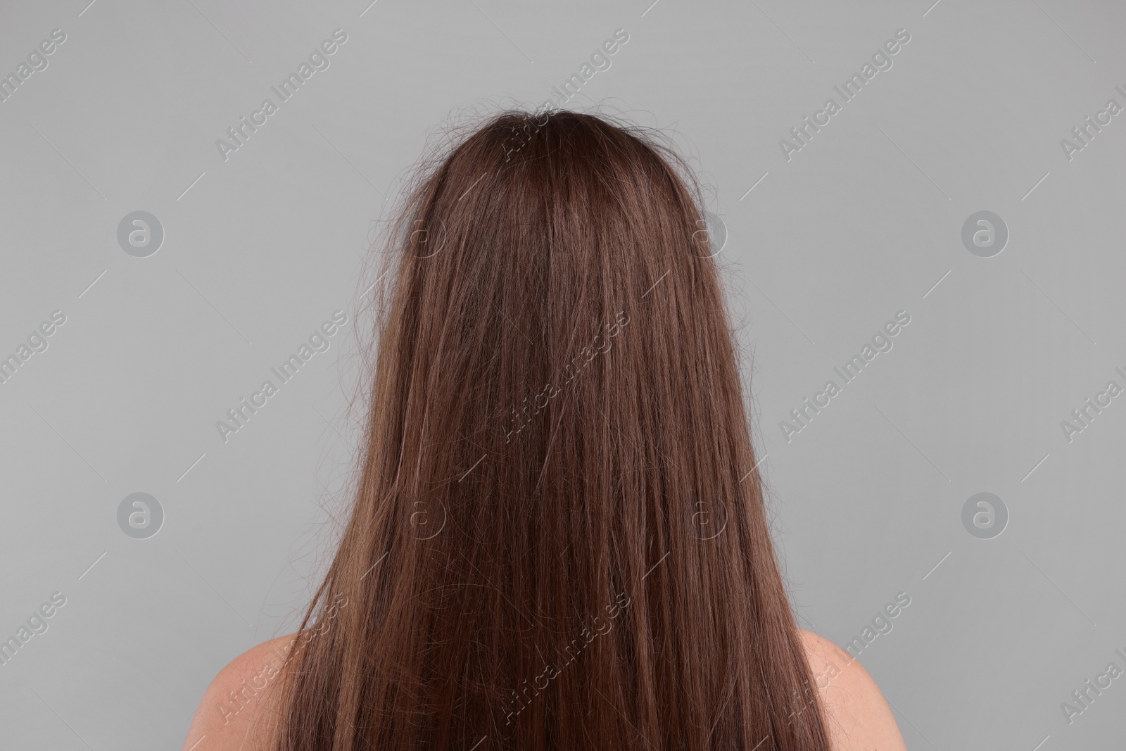 Photo of Woman with damaged hair on light grey background, back view