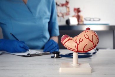 Photo of Human stomach model and gastroenterologist at table in clinic, closeup