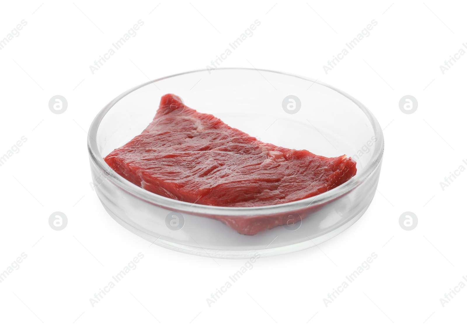 Photo of Petri dish with piece of raw cultured meat on white background