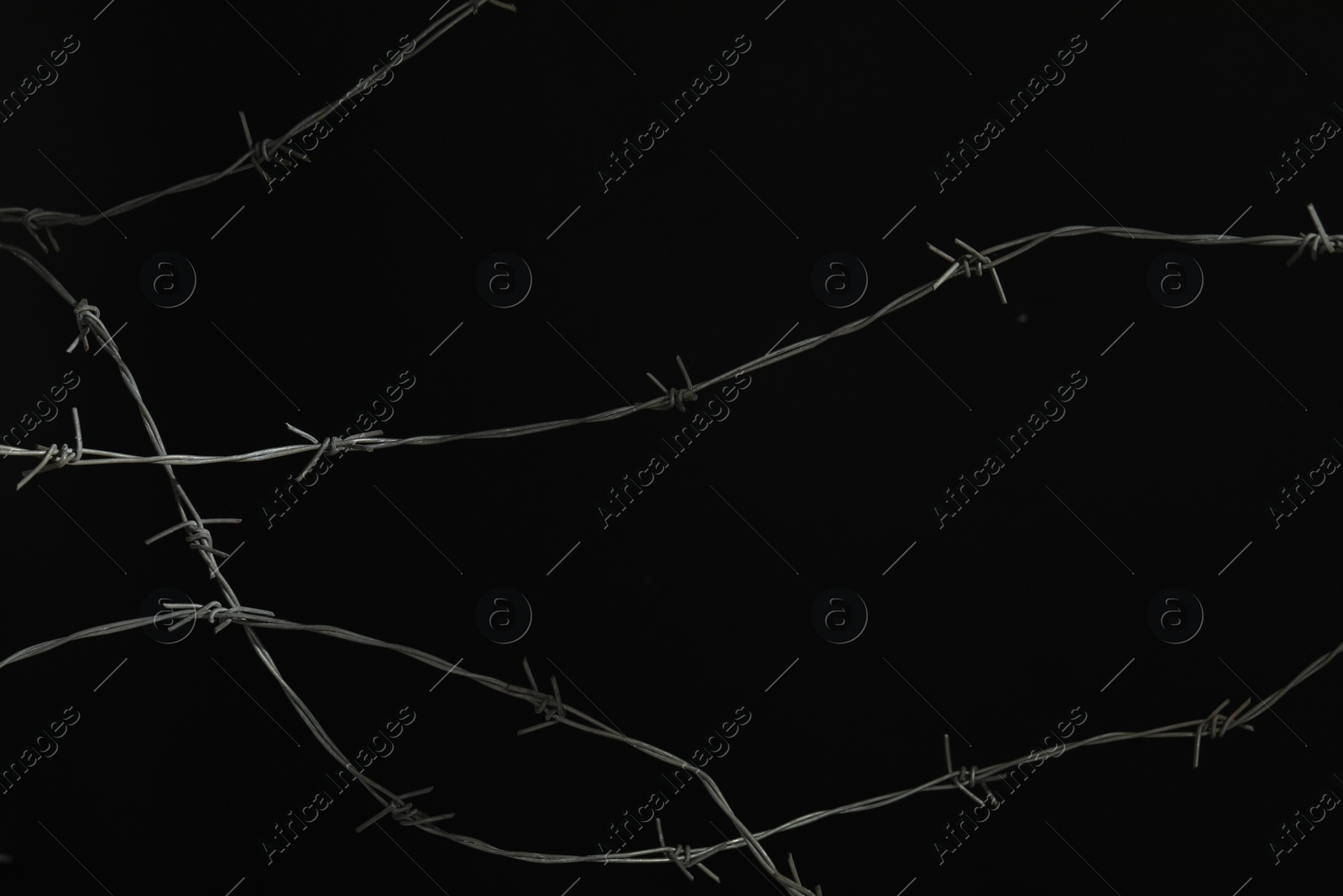 Photo of Shiny metal barbed wire on black background