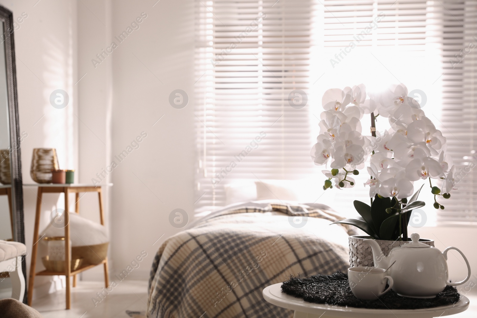 Photo of Beautiful bedroom interior with white orchids on table. Space for text